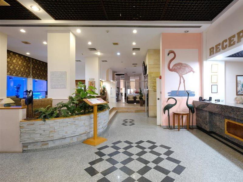 Flamingo Beach Hotel Lárnaca Exterior foto
